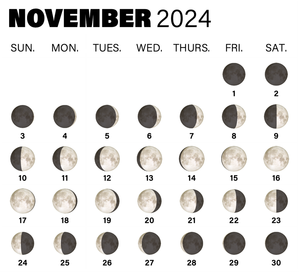 November 2024