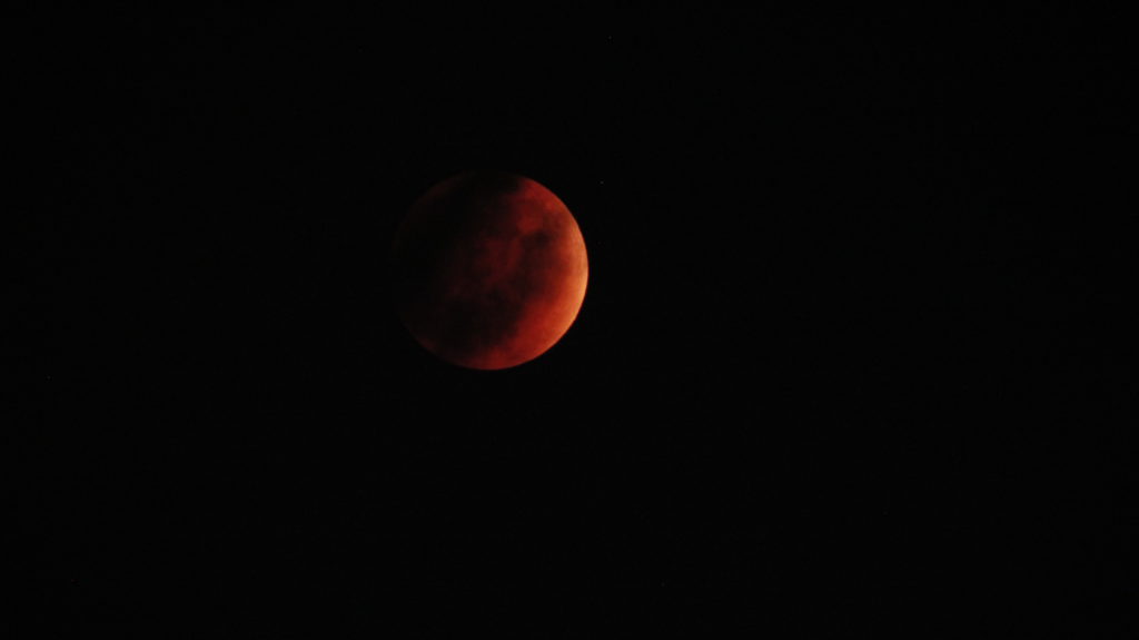 Enjoy the exciting experience of a Total Lunar Eclipse March 14, 2025 11 20150927rkp MG 3562