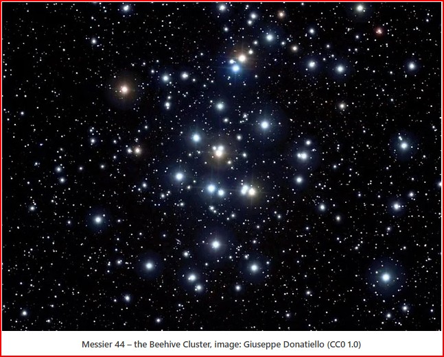 March 2025: Exciting Celestial Events for you to Explore 3 M44 from internet
