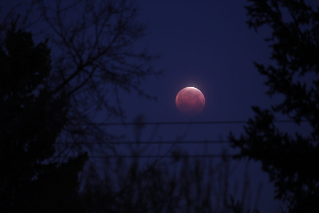 Enjoy the exciting experience of a Total Lunar Eclipse March 14, 2025 13 MG 2852