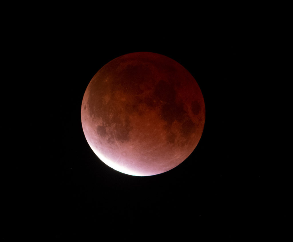 Enjoy the exciting experience of a Total Lunar Eclipse March 14, 2025 7 Nov192021 MG 5780