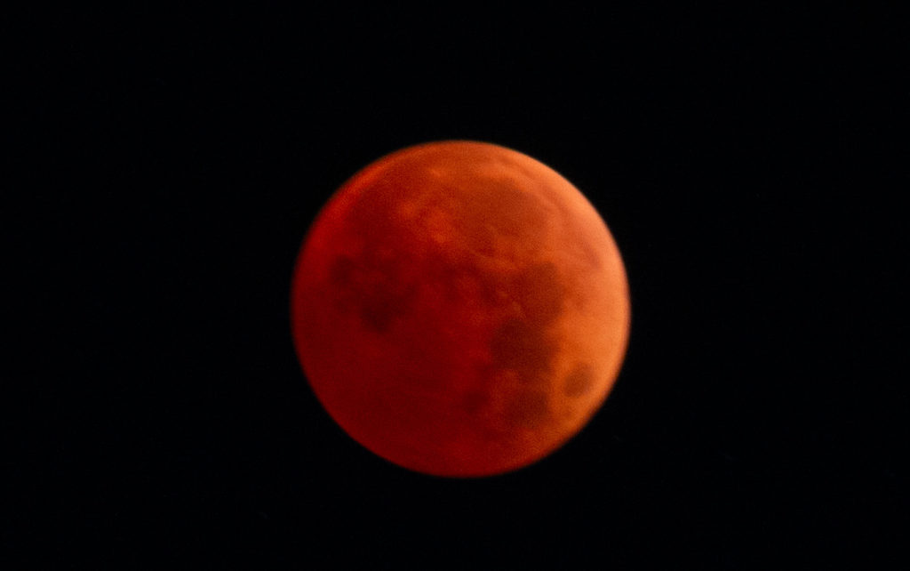 Enjoy the exciting experience of a Total Lunar Eclipse March 14, 2025 6 Nov8 2022 MG 5873